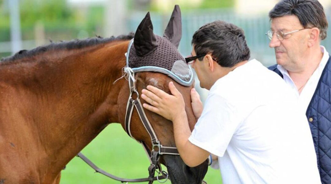 Stella: un cavallo speciale….