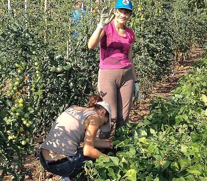 sconto della pena con lavori socialmente utili 