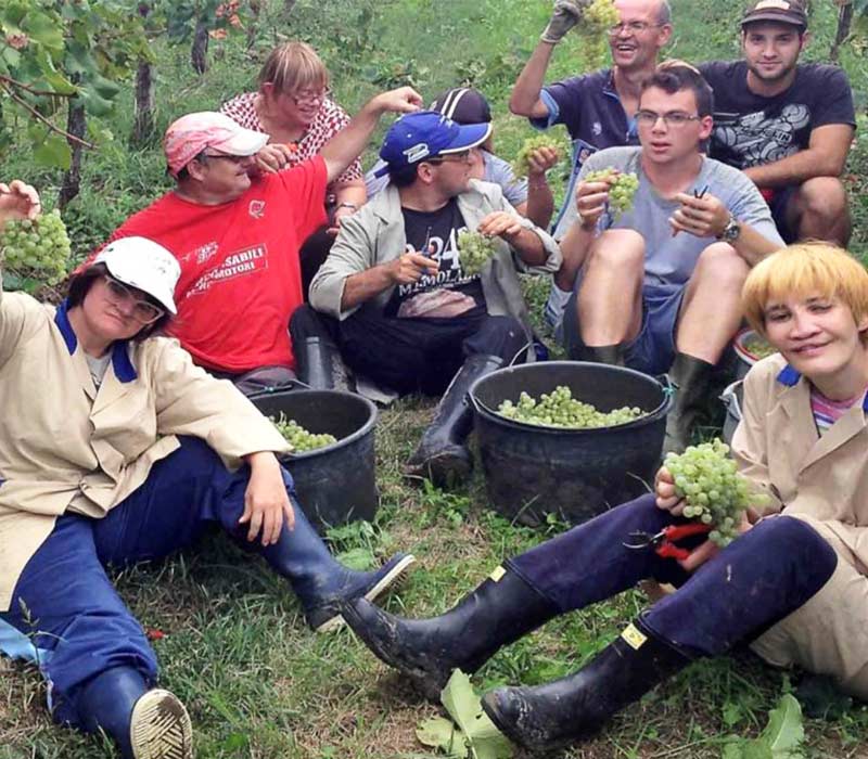 vendemmia con ragazzi con disabilità