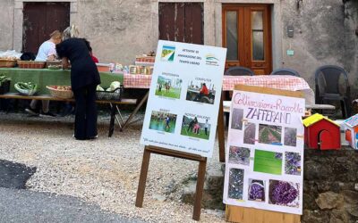 Dall’orto alla tavola: il sapore della vita