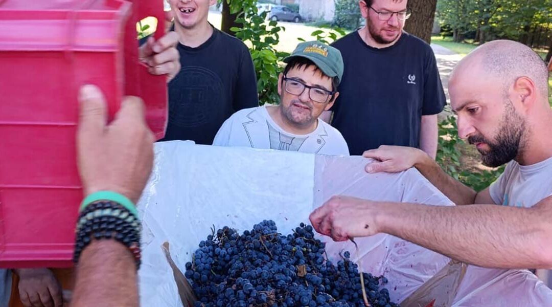 Una cantina in comunit&agrave;